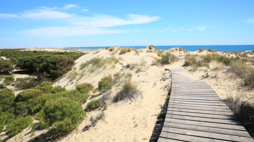 Parque Nacional de Doñana, La Mayor Reserva Natural De Europa