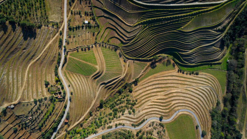 Une journée dans la Vallée du Douro: une excursion ou une croisière?