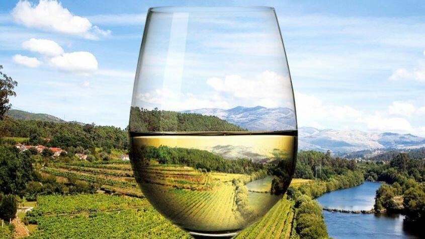 La Différence entre le Vin Vert et le Vin Mature