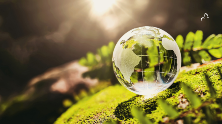 Sustentabilidade: O Equilíbrio entre Ambiente, Sociedade e Economia
