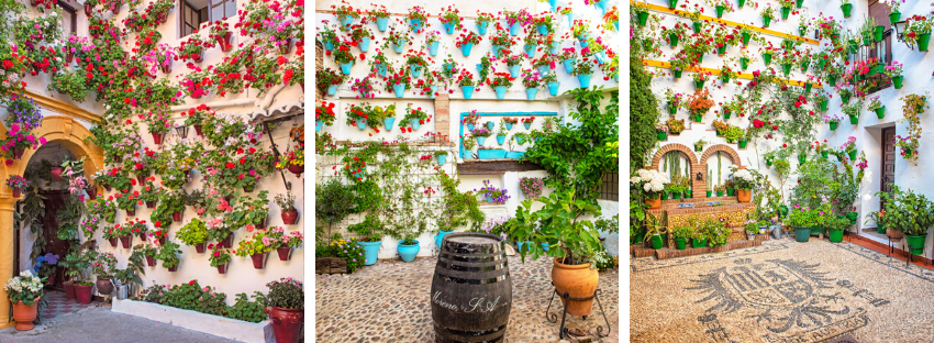 cordoba courtyards