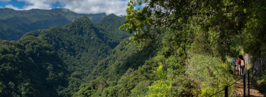 levada do rei